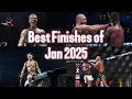 Best finishes of January 2025 - KO and SUB compilation - Highlights Jan 2025 - UFC - PFL - BKFC