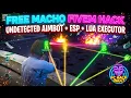 Macho FiveM Hack Lua Executor Aimbot ESP Spoofer