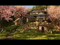 Download Lagu Spring in the Japanese Garden Ambience - Water stream, birdsong for relaxation, sleep, study