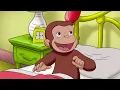 Download Lagu ¿Cómo hibernan los animales? | Jorge El Curioso En Español