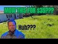 Why I stopped working with Lawn Starter