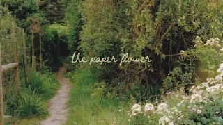 a playlist for walking through meadows