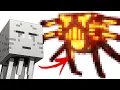 I Designed Custom Minecraft Bosses