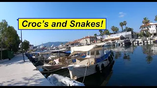 Croc’s and Snakes! Subscribers and Storms. We get another cracking sail and lots more boat life!