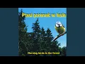 Download Lagu Burung hitam dan burung dada besar, burung penangkap lalat belang-belang, suara rendah dan monoton dari burung ringdove; burung pipit, burung berkerudung...