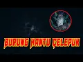 Lagu Burung Hantu Celepuk Di Kuburan