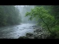 Fall Asleep IMMEDIATELY with Relaxing Rain over a Forest Stream 🌧️ Sleep Deeply, Stress Relief Relax