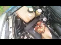 taking a look under the hood of my ford focus