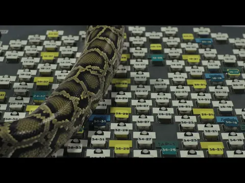 Hot Docs 2022 Trailer:  BURIAL