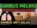 KOMPILASI GAMBUS MELAYU ENAK DI DENGAR GAMBUS MODERN FULL ALBUM HAJATAN