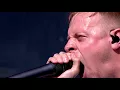 Architects - These colours Dont run live reading festival