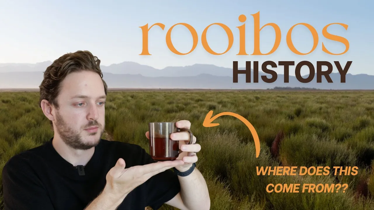 Why Rooibos Only Grows in One Place on Earth