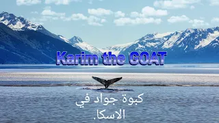 Pause Flow Alaska Karim The GOAT Review بوز فلوو فيه البرد الفرق بين الديكارتية والبارانويا 