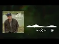 Ain't Worth the Whiskey (Clean) - Cole Swindell