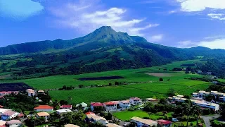 SSL 231 ~ the silent MONSTER…