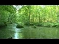 Download Lagu RICHARD CLAYDERMAN- 10 TEMAS 26:58 MIN