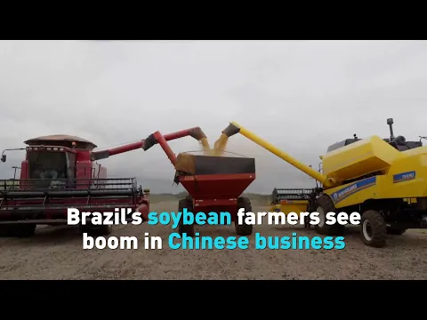 China buys more than 100 million tons of soybeans per year, and more ...