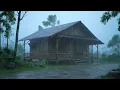 Download Lagu hujan deras di gubug bambu - hujan deras relaksasi || hujan deras di desa - heavy rain