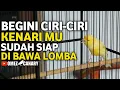Lagu 3 TANDA KENARIMU SUDAH SIAP DIGANTANG‼️PERHATIKAN