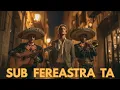 Lagu Sub fereastra ta – AIDA Studio
