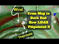 LiDAR Secrets Crack the Code on Deer Movement