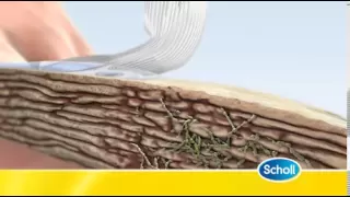 Scholl Fungal Nail Treatment