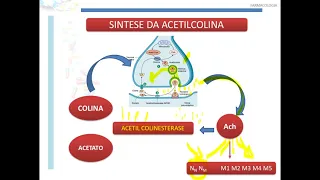 COLINÉRGICOS PARTE 2