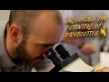 Lagu Unlocking the Potential of Probiotics | UW Research Spotlight