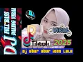 Download Lagu Dj ubur ubur ikan lele remix full bass viral tiktok terbaru 2025 | Dj slow bass tiktok fyp