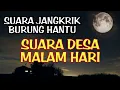 Download Lagu Suara Suasana Desa Malam Hari. Suara Jangkrik dan Burung Hantu. // DESA MALAM HARI