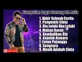 Download Lagu Kumpulan lagu danang DA# lagunya merdu bangat, bikin merinding bangat