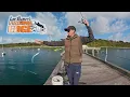 Lagu How to: Piervissen op Garfish – Tips voor dobbers, Burley en aas