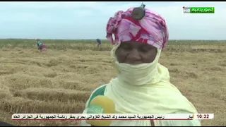 الموريتانية من الداخل ازويرات 