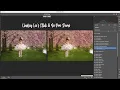 Lindsey Lee s One Click Go Pro Preset Demo