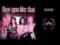 BLACKPINK - [INTRO] + HOW YOU LIKE THAT + DANCE BREAK + PRETTY SAVAGE | For Dance Cover