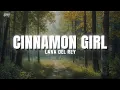 Download Lagu Lana Del Rey - Cinnamon Girl (Lyrics)