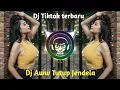 Download Lagu Dj Tiktok Aww Aww Tutup Jendela Dj Tiktok Terbaru