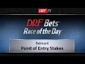 DRFBets Sunday Race of the Day - Point of Entry Stakes 2019