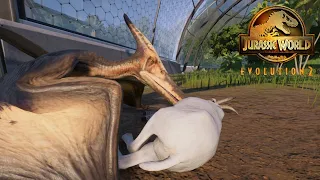 Pteranodon Eating a goat Jurassic World Evolution 2