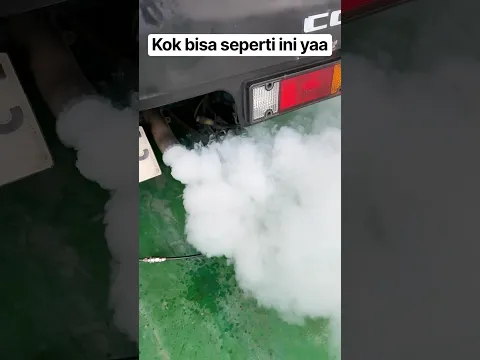 Penyakit mobil apa fogging nyamuk?Bisa sampai gini yaa
