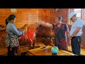 Download Lagu Is de opdracht van de moeder van de CEO krachtig genoeg om CEO Cuong, Ngoc en haar moeder uit elkaar