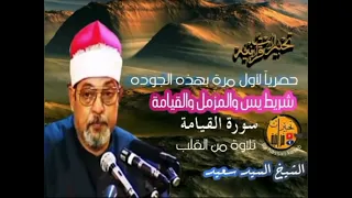 سورة يس وسورة المزمل وسورة القيامة الشيخ السيد سعيد دندنها