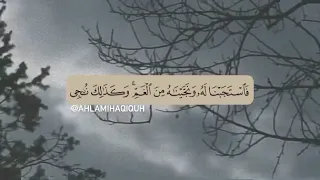فاستجبنا له ونجيناه من الغم وكذلك ننجي المؤمنين   الآية    من سورة الأنبياء دندنها