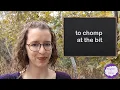Idiom - to chomp at the bit