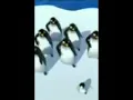 PINGUIN JOGET#SHORT