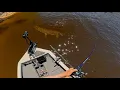 I ve Never Seen So Many GIANT Pike