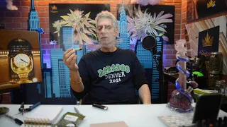 Clementine Cannabis Strain ReviewEDIT