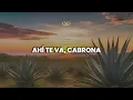 Fuerza Regida - Desgraciada (Letra/Lyrics)