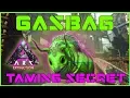 SECRET to easily taming Gasbag in Ark Extinction
