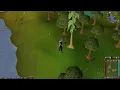 OSRS Loot From Cutting Teak Tree